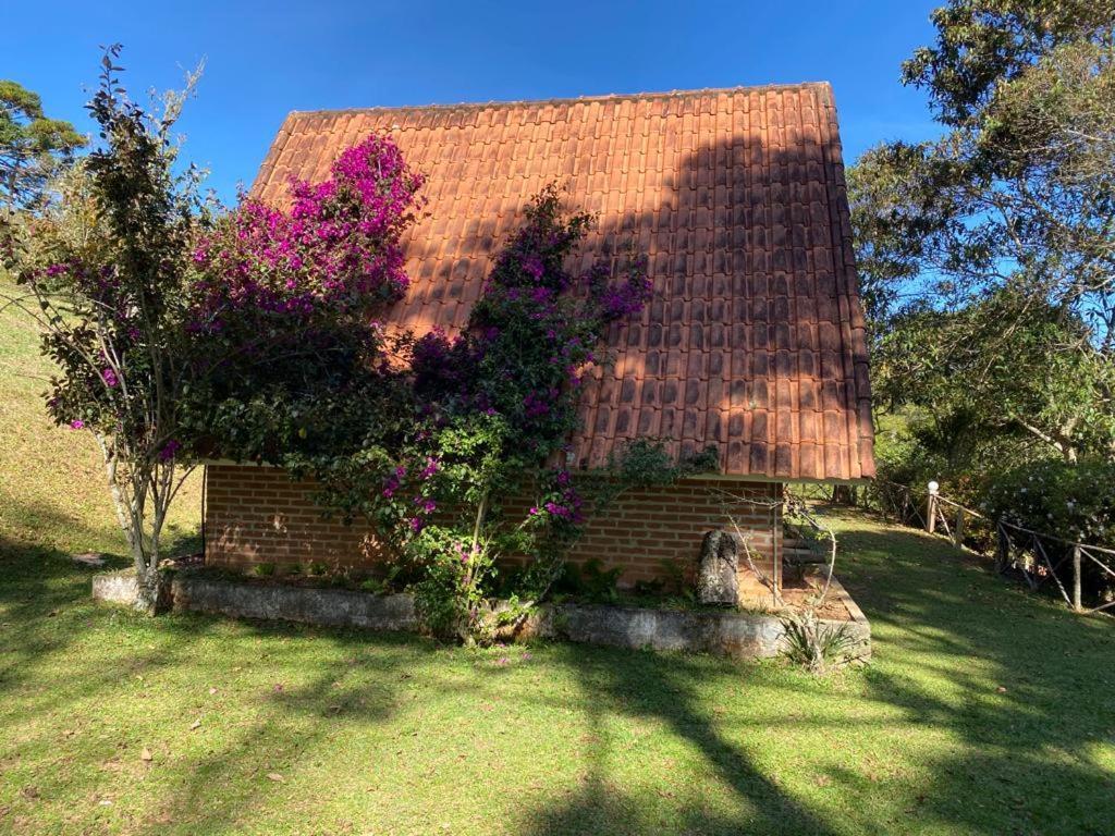 Pousada Sotaque Mineiro Cunha Exteriör bild